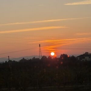 Meet your Posher, Jose a